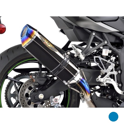 ベース LTD -MD500 NASSERT Evolution Type II スリップオンマフラー Ninja ZX-4R