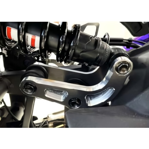スポーツリンクプレートキット アルミゴールド Ninja ZX4R/RR - バイク