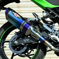 ワイバンリアルスペック18-Ninja400 スリップオン Type R RK32-03RT