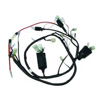 強化メインハーネスキット 12Vモンキー - バイク