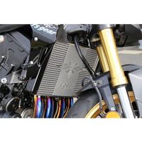 ラジエターコアガード CB1000F/CB1000 ホーネット/SP - バイク