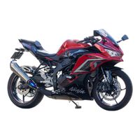 TT-Formula RS+PROフルチタンスリップオンマフラー YZF-R25(19-) - バイク