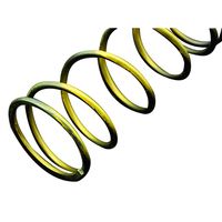 スーパークラッチセンタースプリング 3%UP/L-DIOZX - バイク