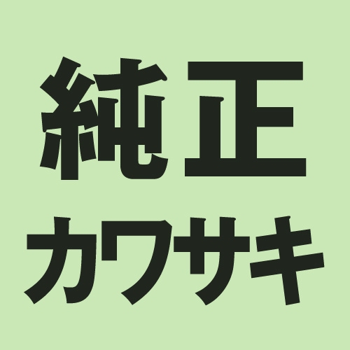 純正部品】*ウインドシールド 39154-5039 - バイク
